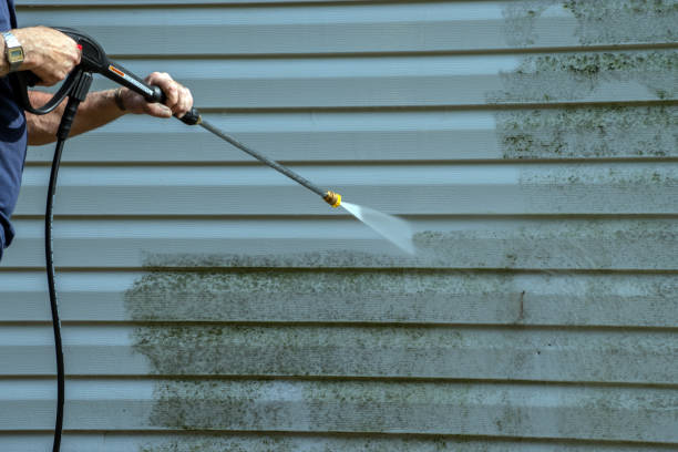 Trusted Van Buren, MO  Pressure Washing Services Experts