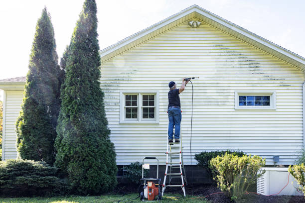 Best Building Exterior Washing  in Van Buren, MO